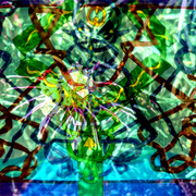 D9_card