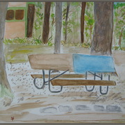 Img_5592_finn_camp_card