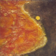Land_with_flower_card