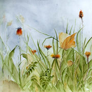 Akw_172_card