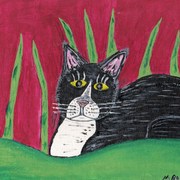 Newcatinthegrass_card