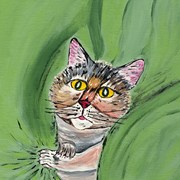 Newblanketcat_card