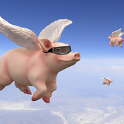 Whenpigsfly_card