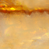 Solar11_thumb