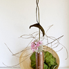 Ikebana-041_thumb