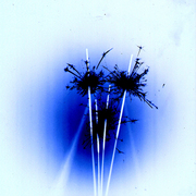 Spalkers7_cropped_web_card