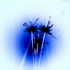 Spalkers7_cropped_web_thumb