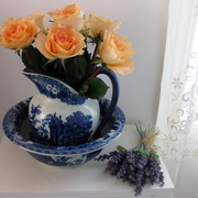 1112small_card
