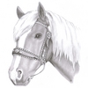 Palomino_pony_thumb