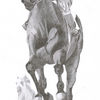 Racehorse_thumb