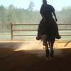 Dsc08489_thumb