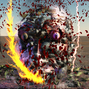 Tz6_copy_card