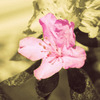 Spring_thumb