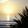 Daytonabeach056_2__thumb