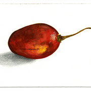 Tamarillo_card