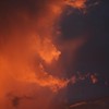 Stormy_resized_thumb