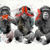Threewisemonkeys_thumb