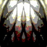 344170541317_0_0_card