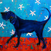Pies1_50x60_thumb