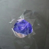Little_star_640_thumb