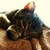 Cohen_s_pics_014_tiny_square