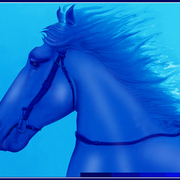 Blue_horse_card