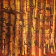 Interference_card