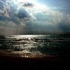 Dsc_1881_thumb