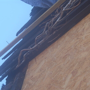 Sh104961_card