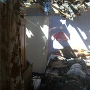 Sh104943_card