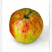 Apfel_card