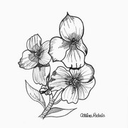 Scan0001_card