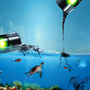 Bp_spill_card