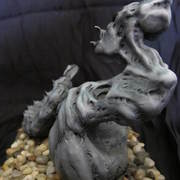 Sea_serpent_-side_card