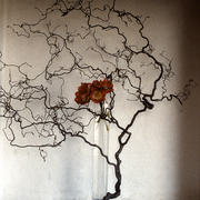 Ikebana-072x_card