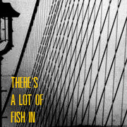 Net_card
