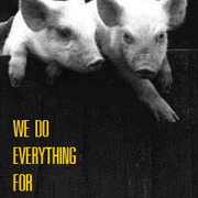 Pigs_card