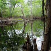 Pictures_april_2007_141_card