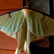 Dsc05043h2_card