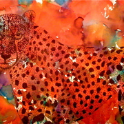 Photo-6_card