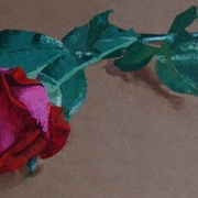 Another_rose_card