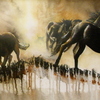 Horses_s_thumb