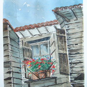 New_pictures_576_card