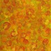 Orangeblossoms_thumb