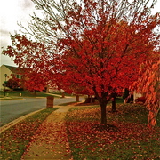 Img_0790_card