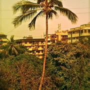 Img_0575_card