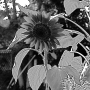 Dsc_1918_card