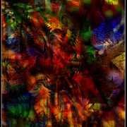 Eden_card