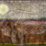 A_horse_in_the_country_card