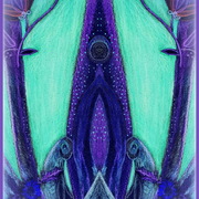 South_african_king_sundew-_carnivorous_plant_mirror_aqua_blue_001_vignette___crop__border___resize_card